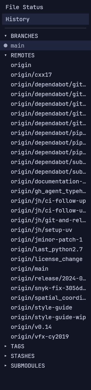 The sidebar: Branches, Remotes, Tags, Stashes and Submodules.